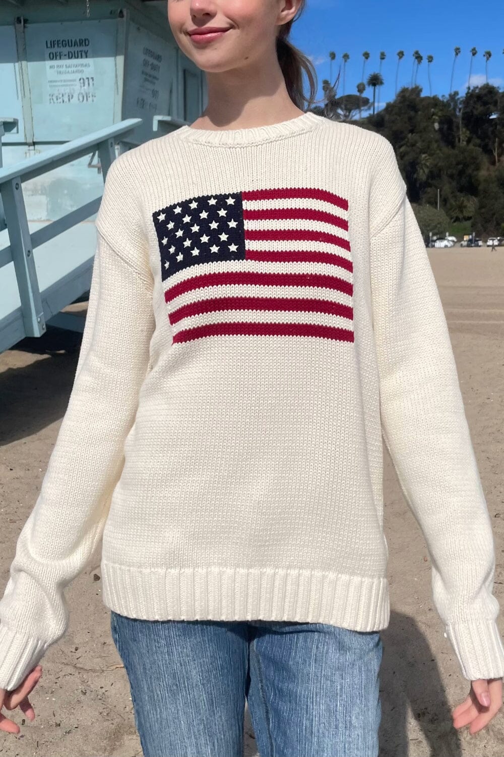 Nico American Flag Sweater