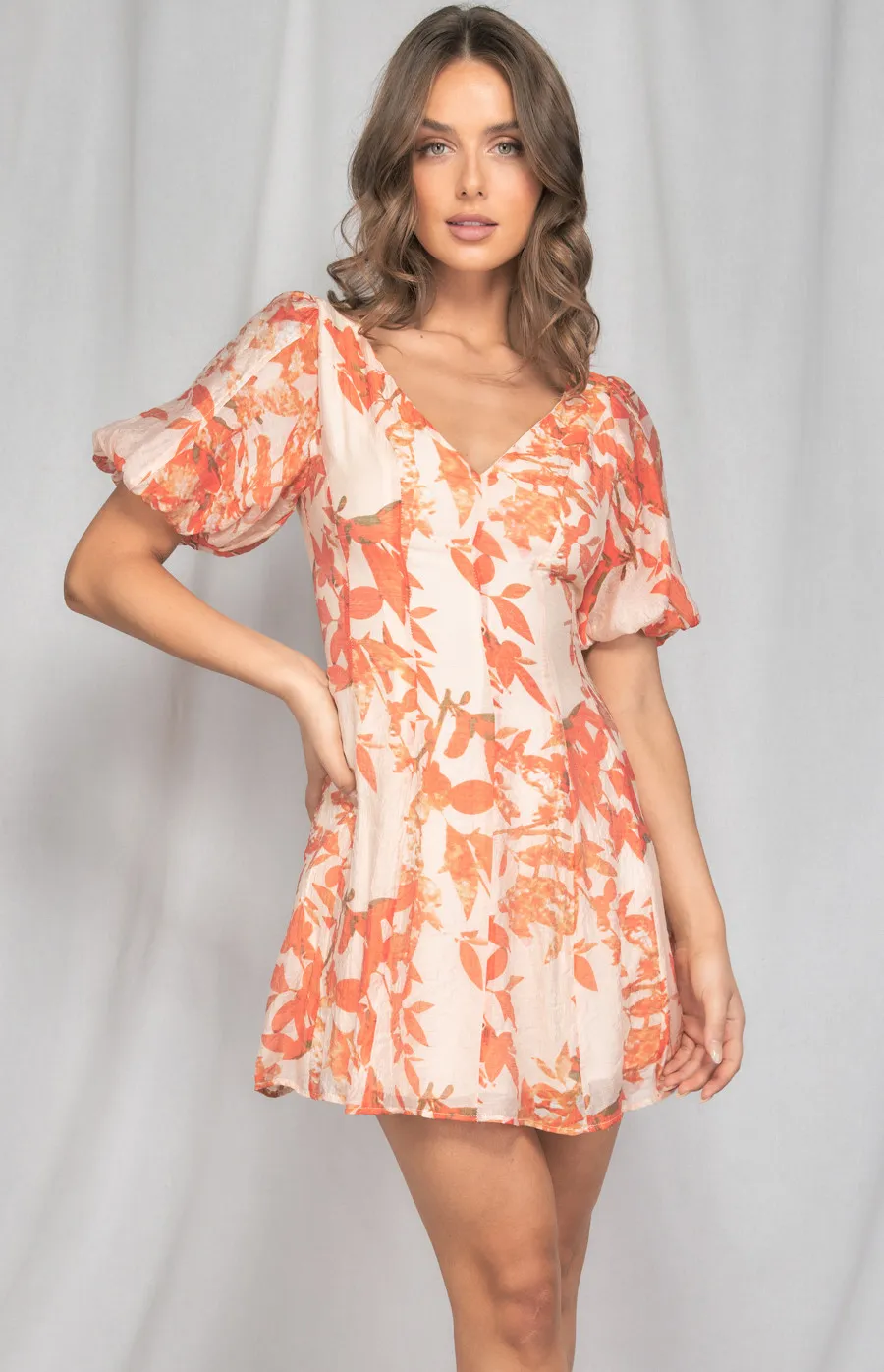 Printed Dress with Puff Sleeves and Seam Detailing (SDR1197A)