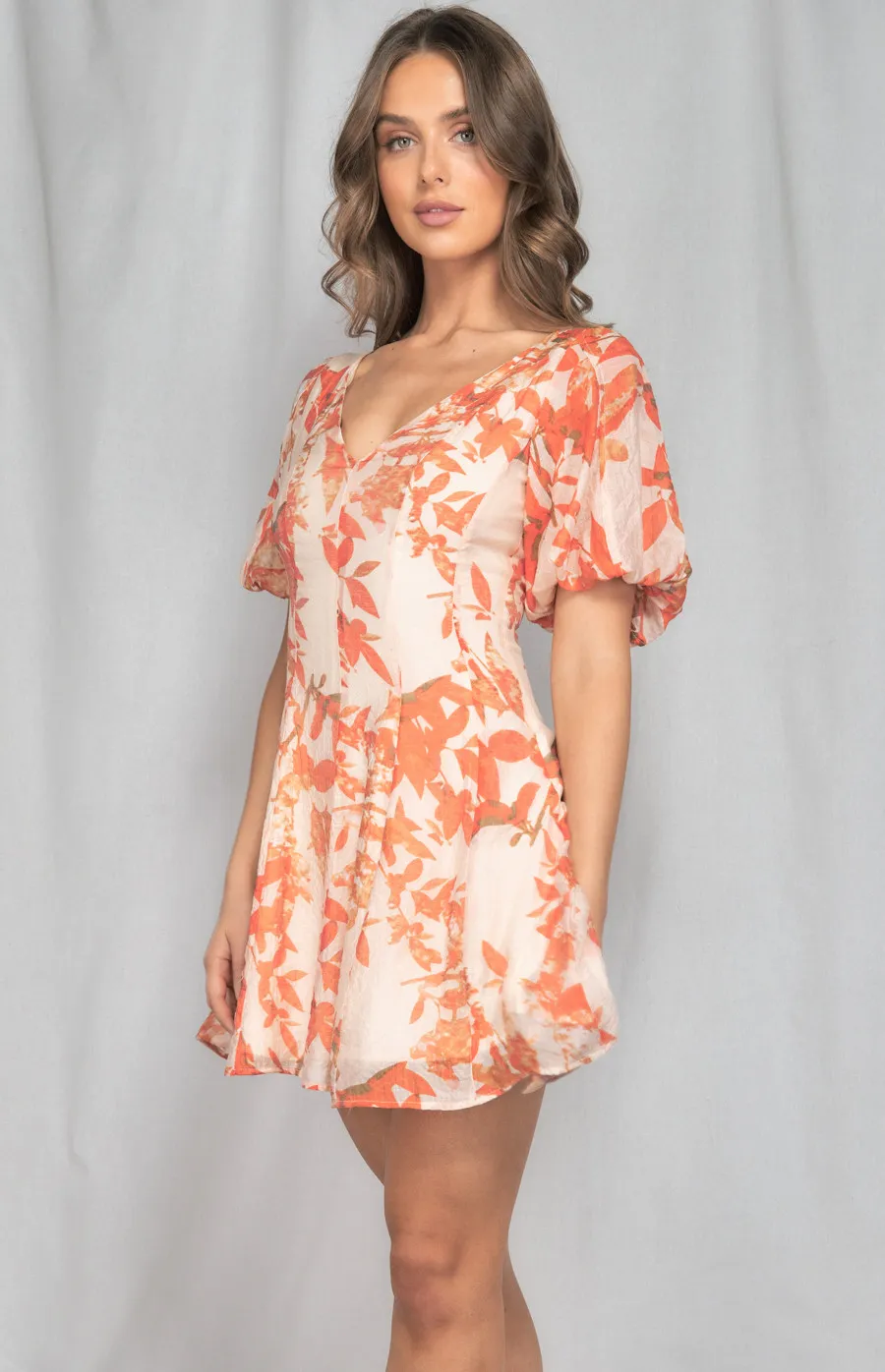 Printed Dress with Puff Sleeves and Seam Detailing (SDR1197A)