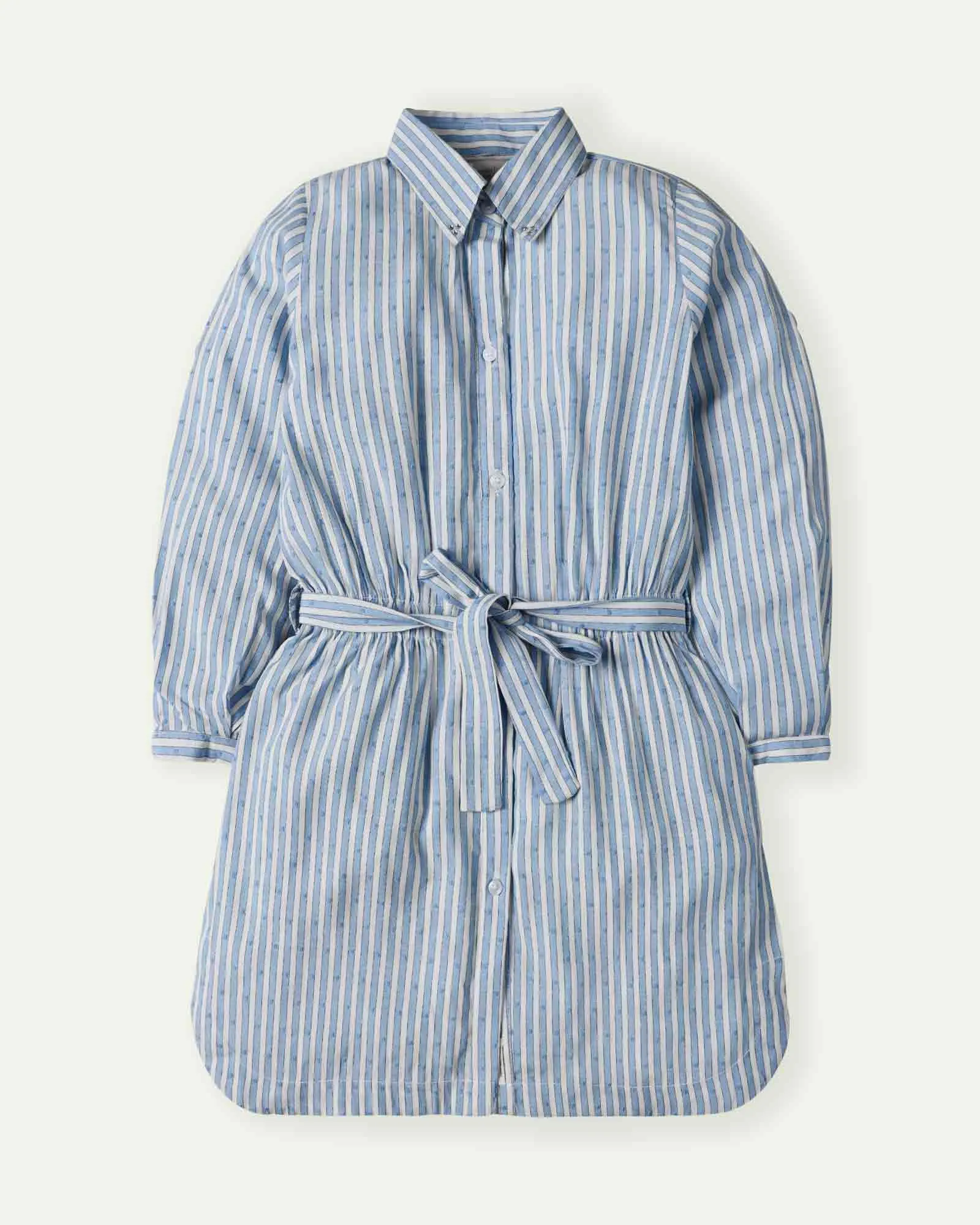 Striped Shirt Dress