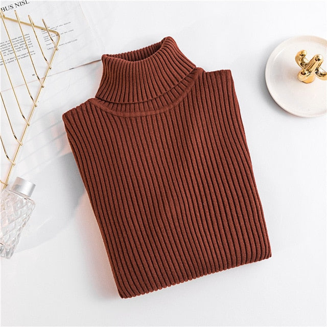 women Knitted Turtleneck Sweater